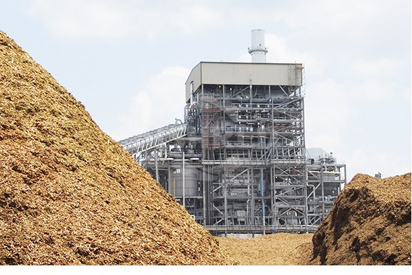 Biomassa stoken/cofiren voor warmte en kracht